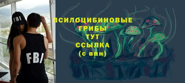 дмт Алексин