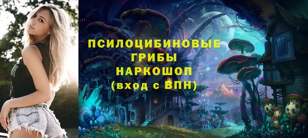 дмт Алексин